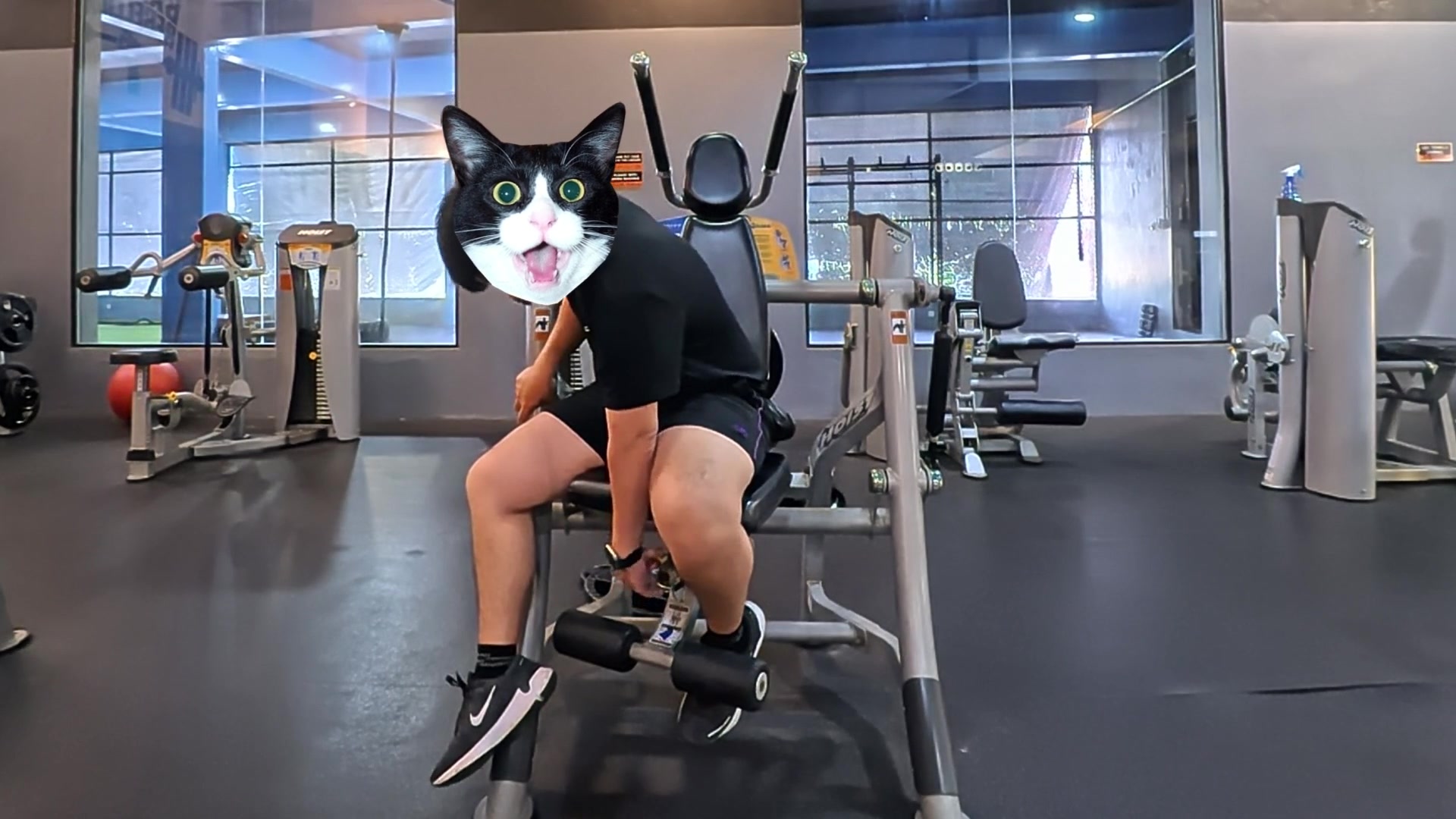 anyone-got-tips-on-setting-up-the-hoist-ab-machine-properly-9.jpg