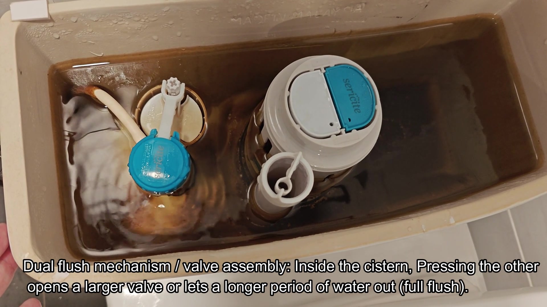 anyone-seen-the-sericite-toilet-bowl-flush-demo-thoughts-on-performance-5.jpg