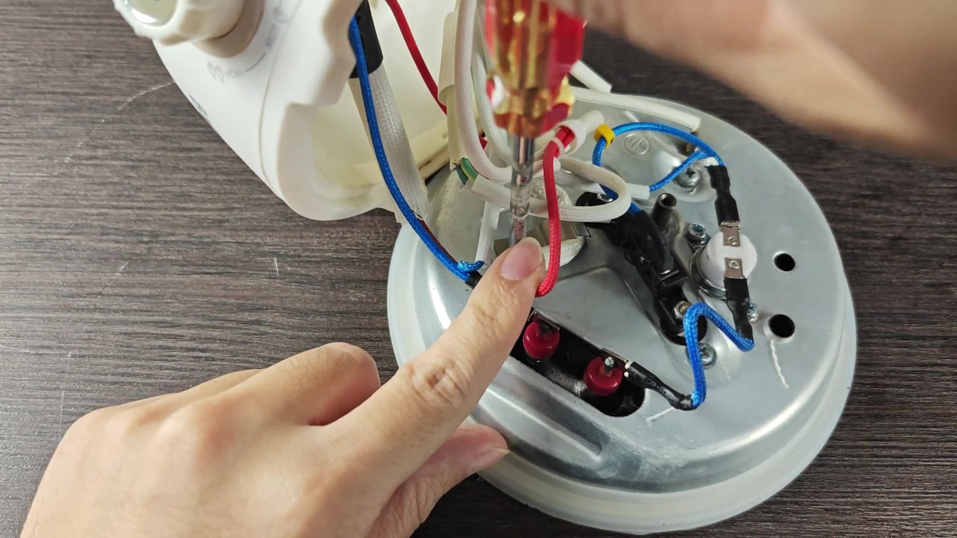 bear-cooker-won-t-power-on-is-it-usually-just-the-fuse-2.jpg
