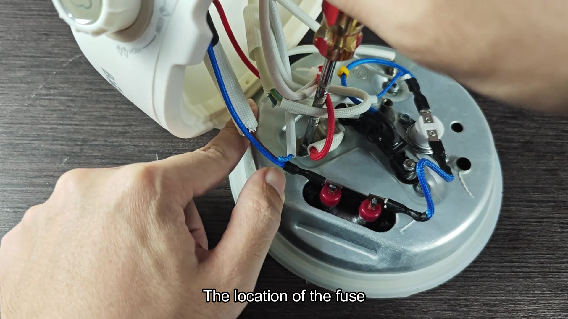 bear-cooker-won-t-power-on-is-it-usually-just-the-fuse-3.jpg