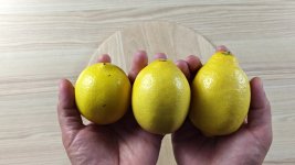 how-much-juice-actually-comes-out-of-one-lemon-by-size-1.jpg