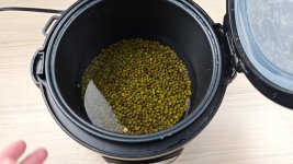 cooking-dry-beans-in-an-aroma-cooker-skipping-the-soak-4.jpg