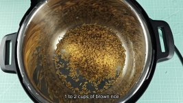 instant-pot-rice-button-for-long-grain-brown-rice-does-1-1-actually-work-1.jpg