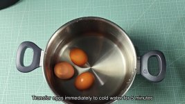 anyone-else-swear-by-the-5-5-5-method-for-instant-pot-eggs-5.jpg