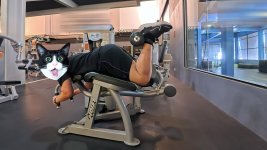 anyone-use-the-hoist-prone-leg-curl-worth-the-setup-hassle-3.jpg