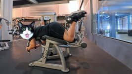 anyone-use-the-hoist-prone-leg-curl-worth-the-setup-hassle-4.jpg