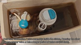 anyone-seen-the-sericite-toilet-bowl-flush-demo-thoughts-on-performance-5.jpg