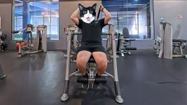 anyone-got-tips-on-setting-up-the-hoist-ab-machine-properly-3.jpg