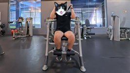 anyone-got-tips-on-setting-up-the-hoist-ab-machine-properly-4.jpg
