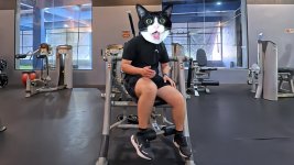 anyone-got-tips-on-setting-up-the-hoist-ab-machine-properly-6.jpg
