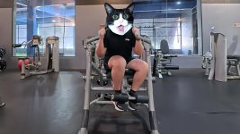 anyone-got-tips-on-setting-up-the-hoist-ab-machine-properly-7.jpg