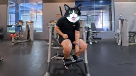 anyone-got-tips-on-setting-up-the-hoist-ab-machine-properly-8.jpg
