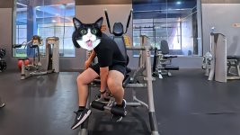 anyone-got-tips-on-setting-up-the-hoist-ab-machine-properly-9.jpg