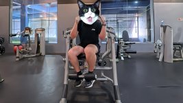 anyone-got-tips-on-setting-up-the-hoist-ab-machine-properly-10.jpg